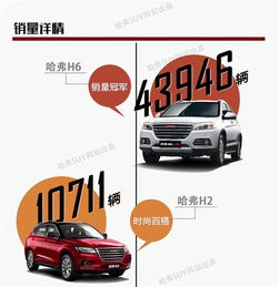 網通社汽車佳木斯安信 專業銷售服務，驅動龍江出行新體驗